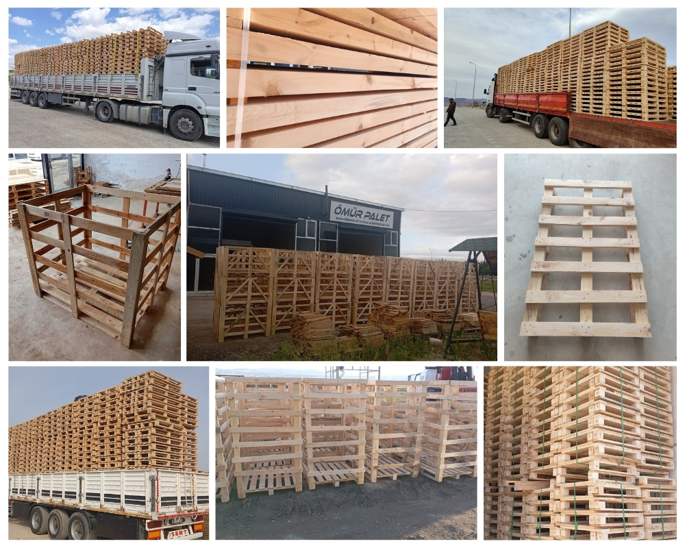 Beek Houten Kisten, Europallets Groothandel Kopen